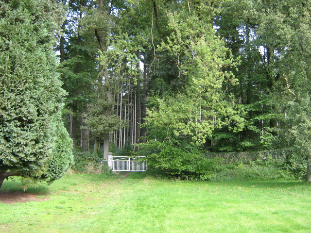 Wald