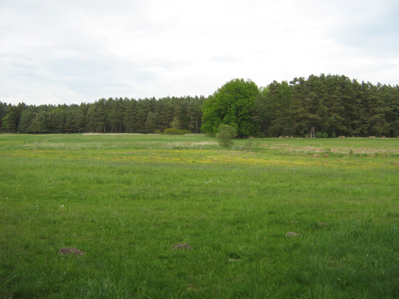 hcohsitz