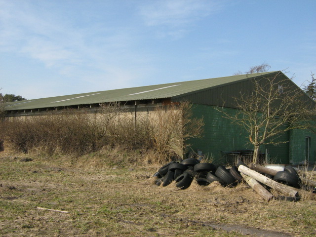 Halle