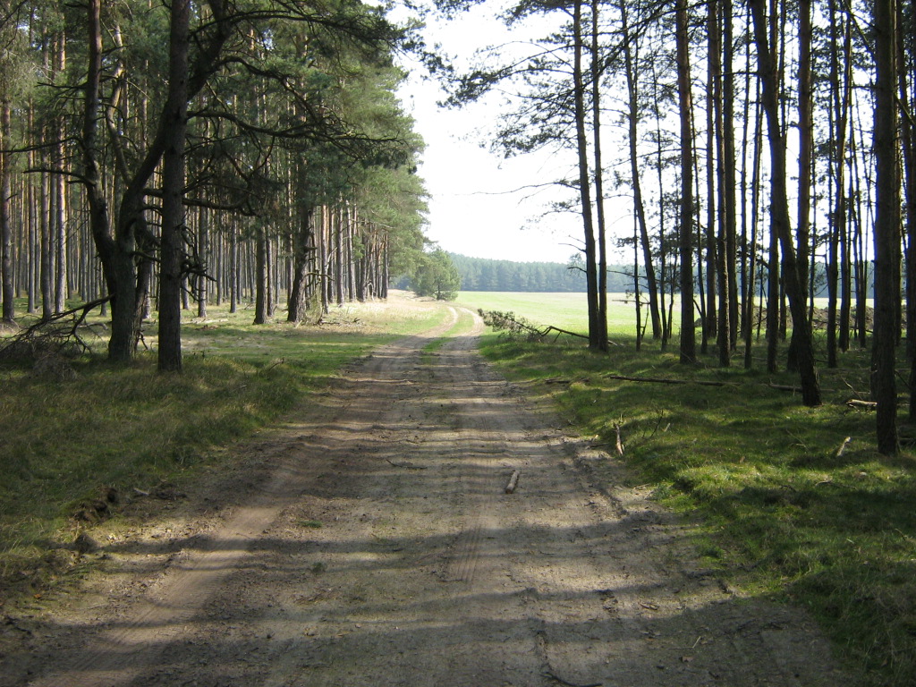 Weg