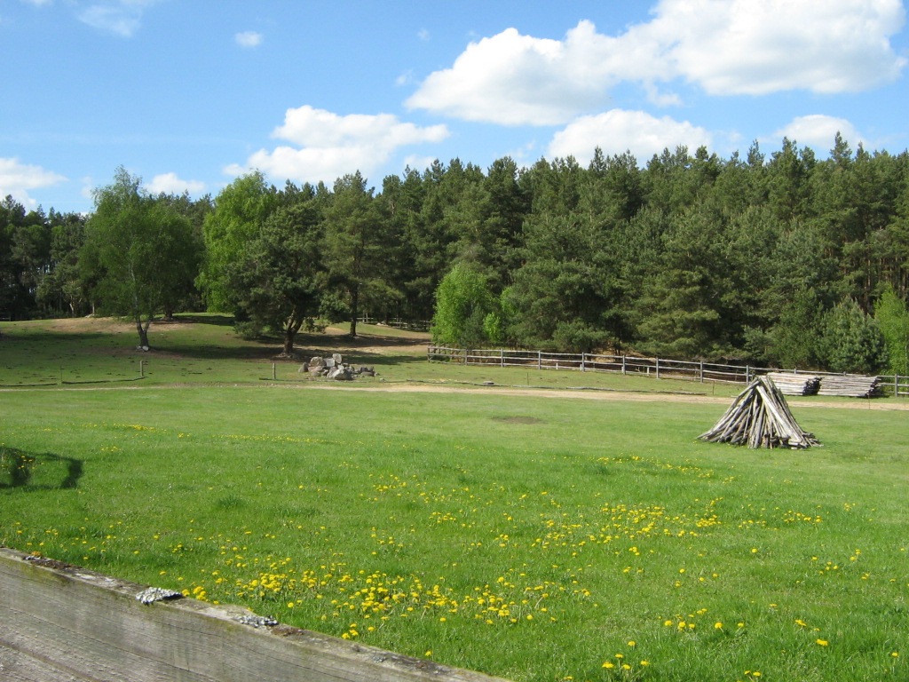 Rasen