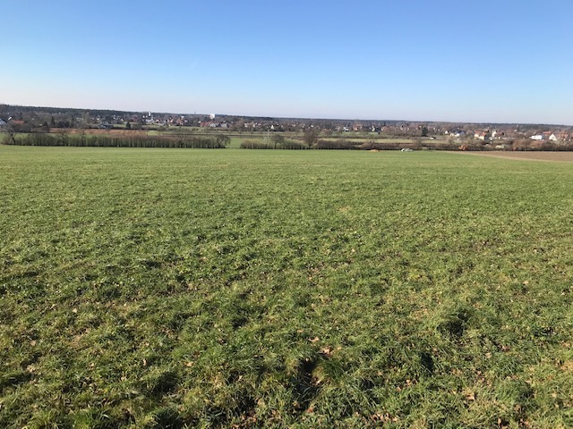 Ackerland